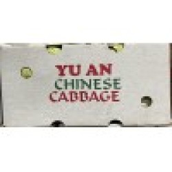 Chinese Cabbage (Napa) / Case