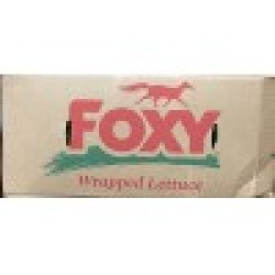 Wrapped Iceberg Lettuce - 24CT/Case