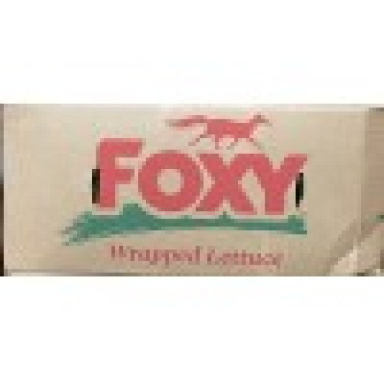 Wrapped Iceberg Lettuce - 24CT/Case