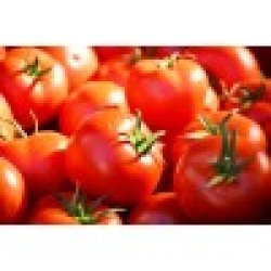 Tomatoes - 25LB/Case