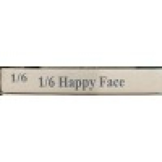 T-Shirt Plastic Bags-Big (1/6)/Box