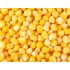 Frozen Corn Kernel - 20LB/Case