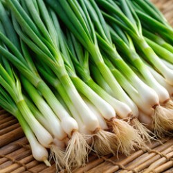 Green Onion - 1Doz (12CT)/Pack