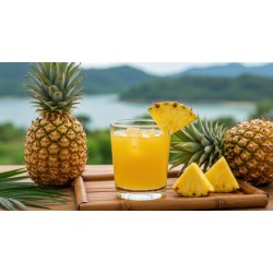 Pineapple Juice (Royal Foods)-12x46oz/Case Pineapple Juice (Royal Foods)-12x46oz/Case