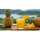 Pineapple Juice (Royal Foods)-12x46oz/Case