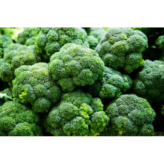Macau 99 Broccoli/Case