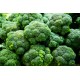 Macau 99 Broccoli/Case