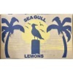 Lemon-(140-165±)/Case