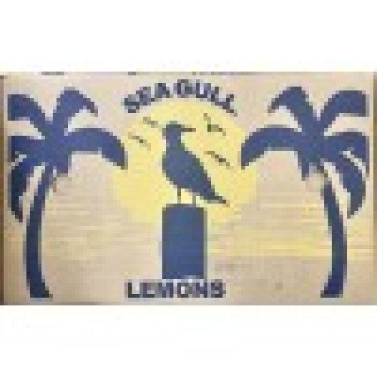 Lemon-(140-165±)/Case Lemon-(140-165±)/Case