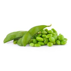 Soy Edamame-20x14oz/case