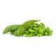 Soy Edamame-20x14oz/case