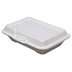 206-P Foam Container-200/Case