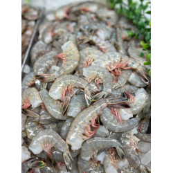 21-25 Ecuador Shrimp - 50LB/Case