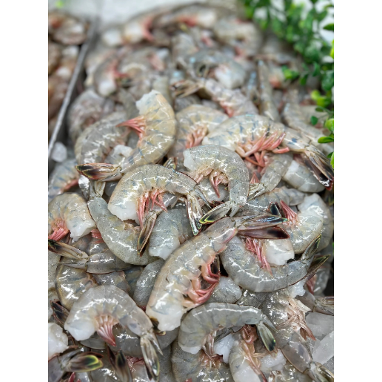 21-25 Ecuador Shrimp - 50LB/Case