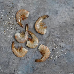 71-90 Ecuador Shrimp - 50LB/Case 71-90 Ecuador Shrimp - 50LB/Case