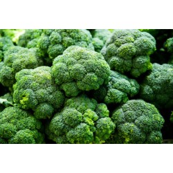 Beijing Broccoli /Case