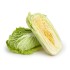Chinese Cabbage (Napa) / Case