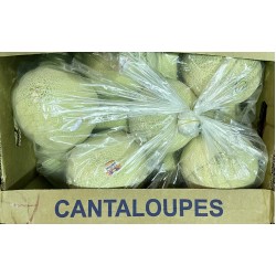Cantaloup - 6-12 Pcs/Case