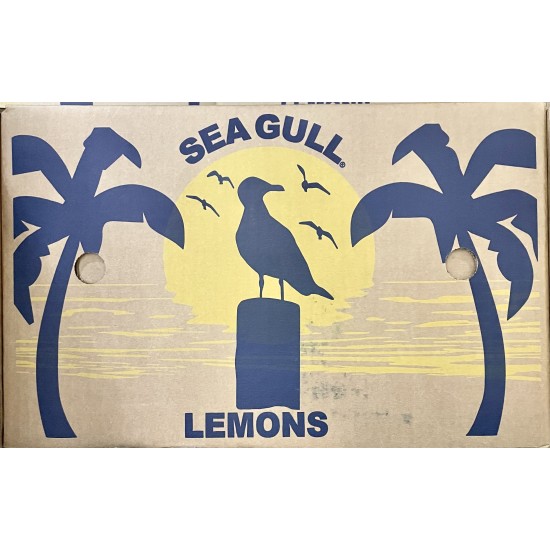 Lemon-(140-165±)/Case