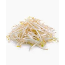 Bean Sprouts -10LB/Case