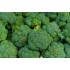 Broccoli (Phoenix) / Case