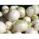 Onion White Jumbo-50LB/Bag
