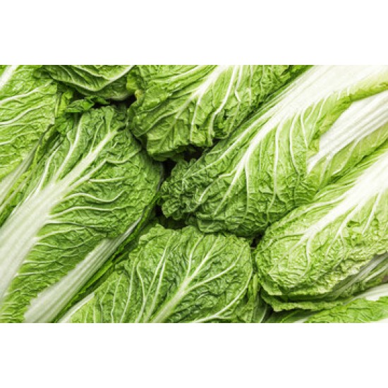 Cabbage Napa Whole Fresh 40LB/Case