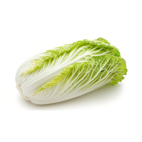 Cabbage Napa Whole Fresh 40LB/Case