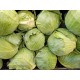 Cabbage Green Whole-14-16CT/Sack