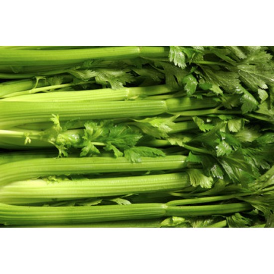 Celery Fresh 24CT/Case