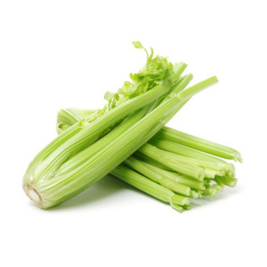 Celery Fresh 24CT/Case