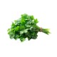 Cilantro Fresh Half Case 25-30CT/Case