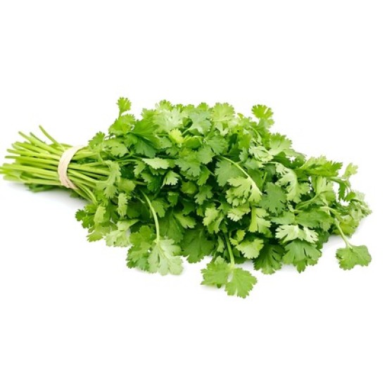 Cilantro Fresh 55-60CT/Case