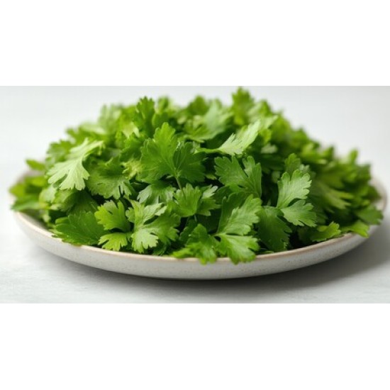 Cilantro Fresh Half Case 25-30CT/Case