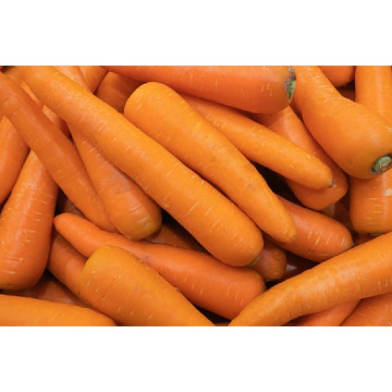 Carrots Fresh-50LB/Bag