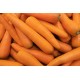 Carrots Fresh-50LB/Bag