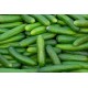 Cucumber Fresh Super Select / Case