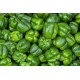 Pepper Bell Green-20-25LBs/Case
