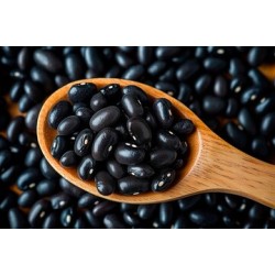 Black Bean - 50LB/Bag