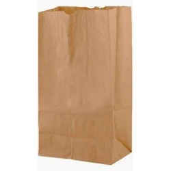 Brown Bags (6#) - 500/Pack