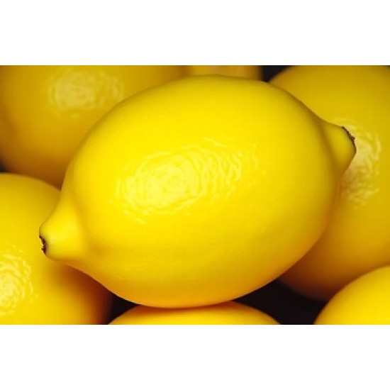 Lemon Yellow Fresh 200CT/Case