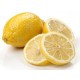 Lemon Yellow Fresh 200CT/Case