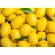 Lemons (140-165 Pieces) / Case