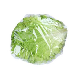 Wrapped Iceberg Lettuce - 24CT/Case