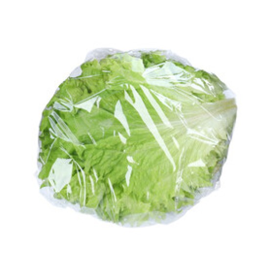 Wrapped Iceberg Lettuce - 24CT/Case