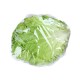 Wrapped Iceberg Lettuce - 24CT/Case