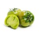 Vege--Tomato Green Fresh 25/LB/Case