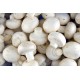 Mushrooms Fresh 10LB/ Case