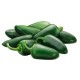 Pepper Jalapeno Fresh-30LB/Case 