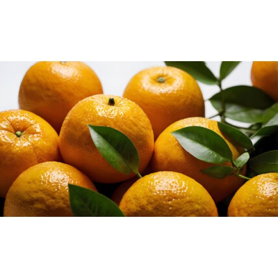 Orange Fresh 80-88CT/Case
